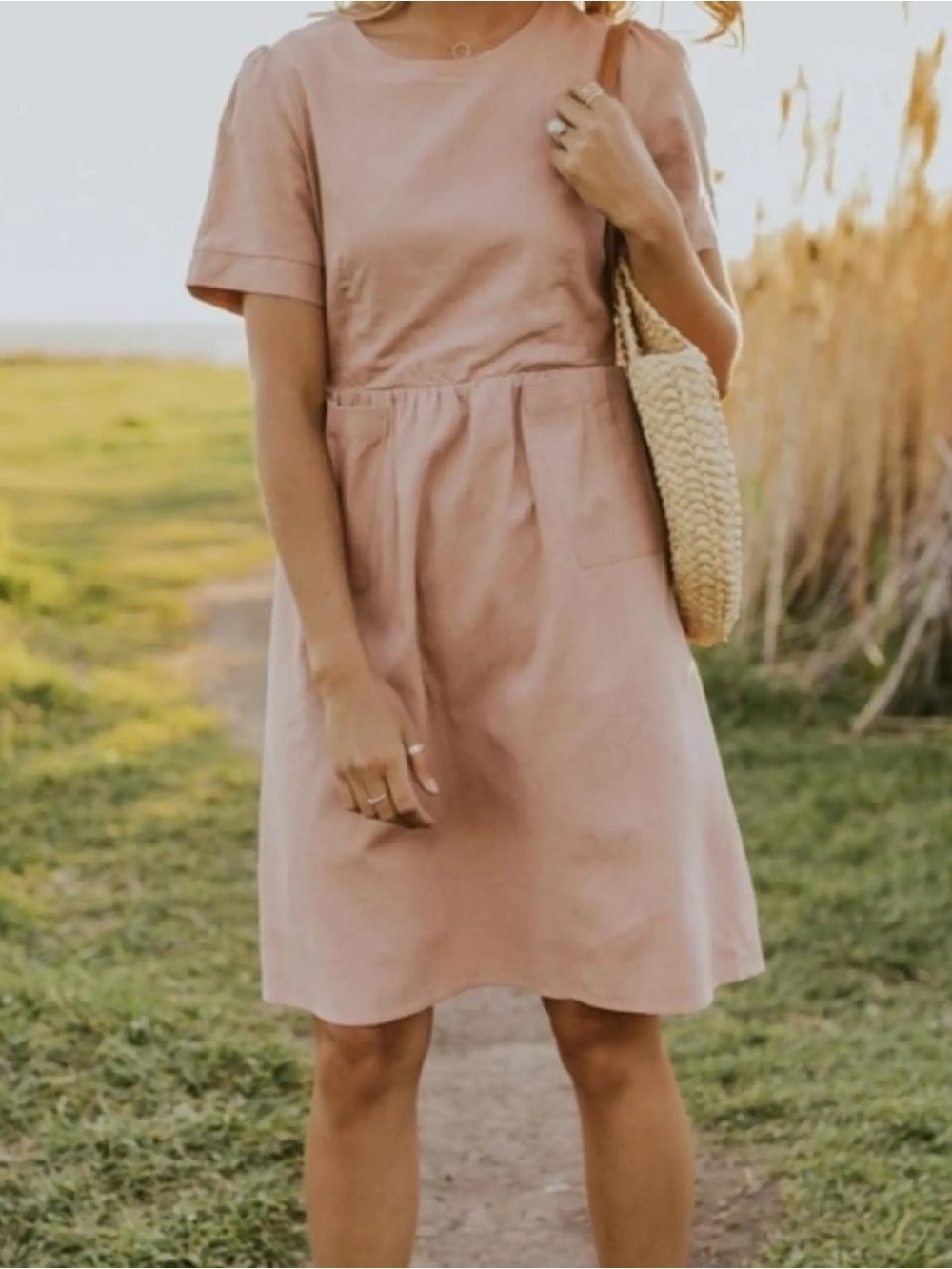 Roolee Rashida dress in blush pink new nwt